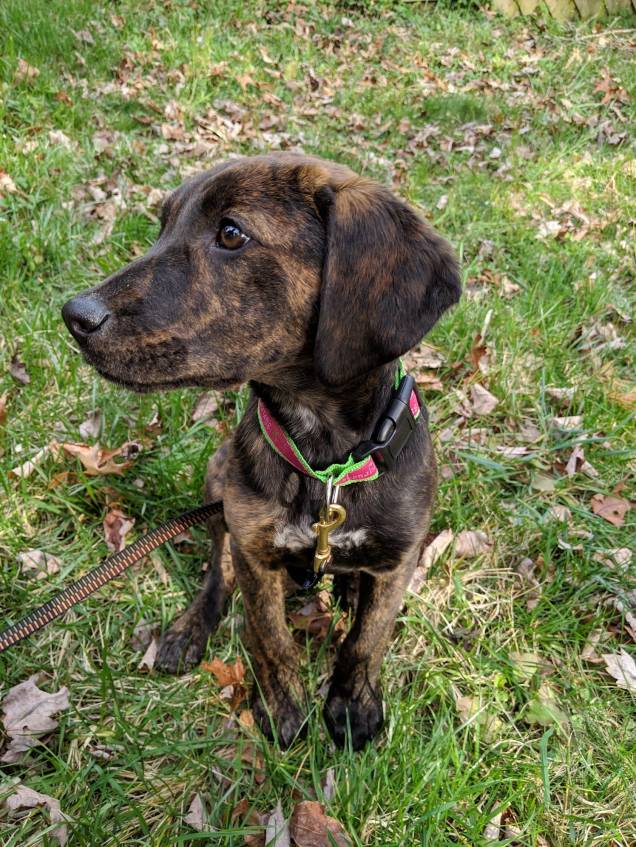 54258197_10218642031026993_7062756672376143872_o